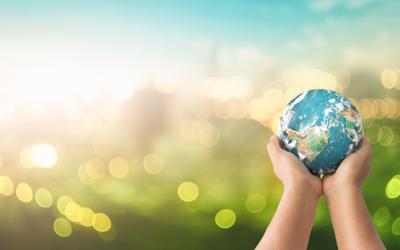 Retos y oportunidades para comenzar el año