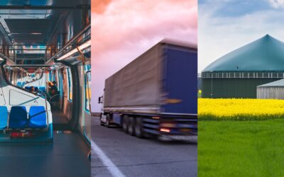 Ponte al día: 4 noticias de agosto que quizá no sabías