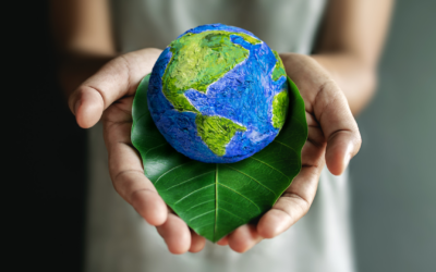 Día Mundial por la Reducción de Emisiones de CO2: ¿Vamos por buen camino?