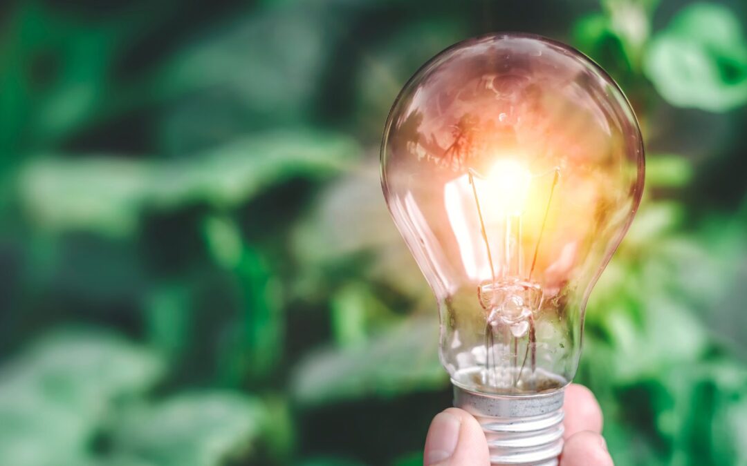 La importancia de la gestión del cambio en la descarbonización del transporte