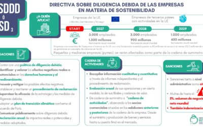 Aprobada la Directiva sobre Diligencia Debida de las empresas en materia de sostenibilidad (CSDDD): obligaciones, sanciones y a quién aplica