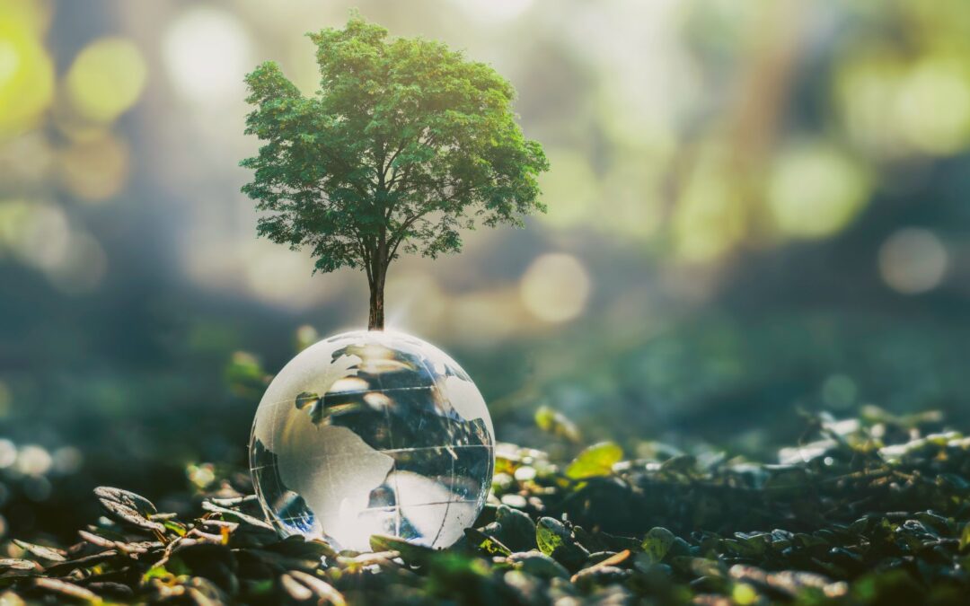 Novedades legislativas y de financiación: marzo 2025