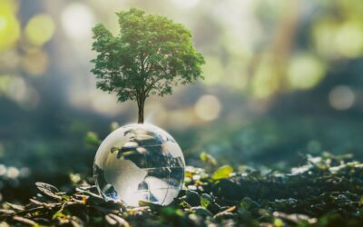 Novedades legislativas y de financiación: marzo 2025