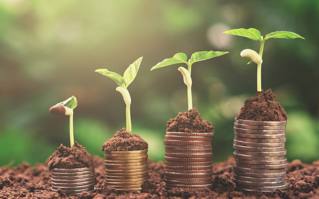 Nuevas ayudas para la movilidad sostenible, el impulso del hidrógeno y la eficiencia energética