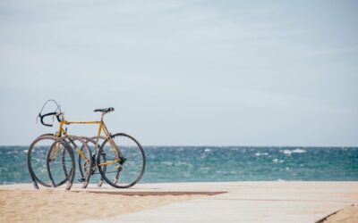 Volvemos en septiembre: avance de acciones